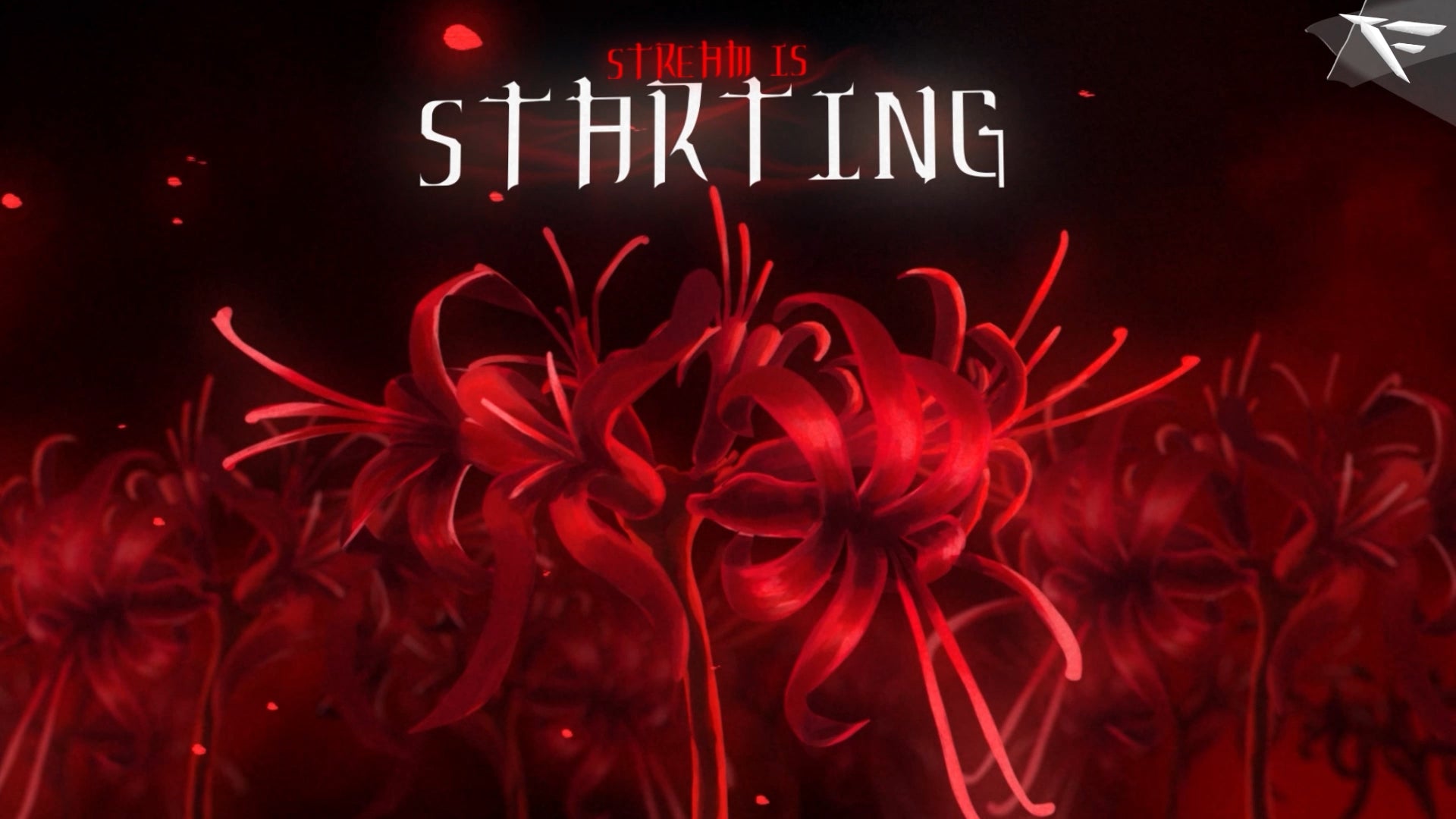 Death Lily animated stream screens – red and black floral backgrounds with glowing lily petals and gothic motion effects for Twitch starting soon and offline layouts.
